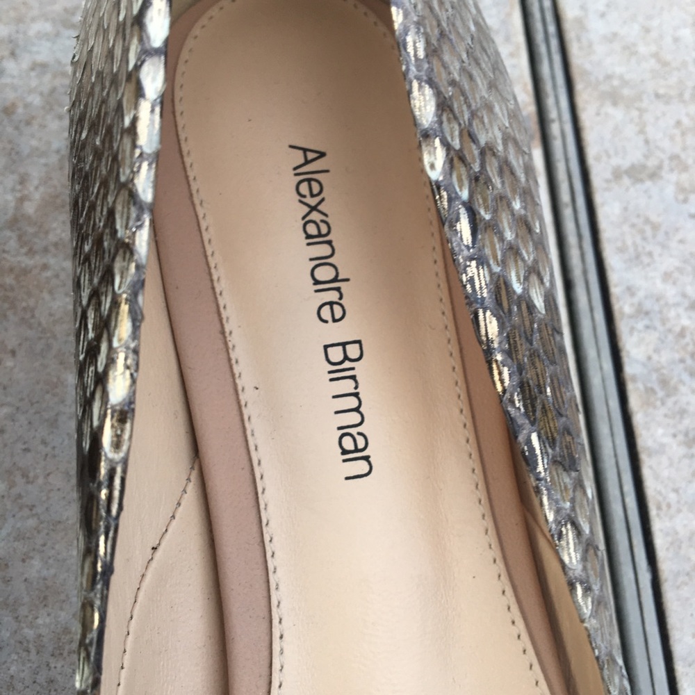 Alexander Birman Python Snake Metallic Flats - image 2